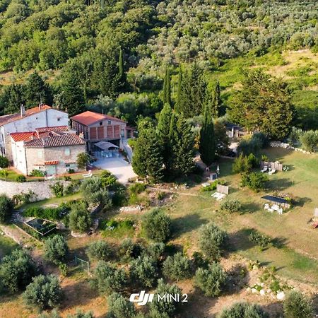 Florence Villa Violetta Bagno a Ripoli Zewnętrze zdjęcie