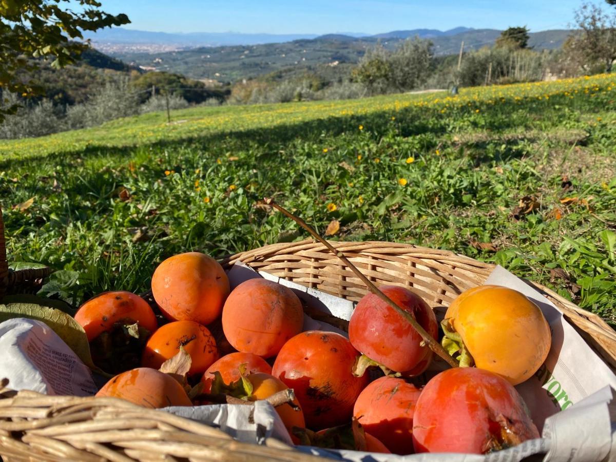 Florence Villa Violetta Bagno a Ripoli Zewnętrze zdjęcie