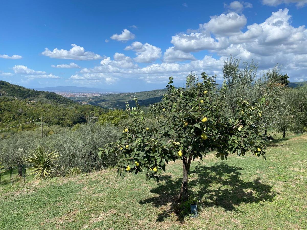 Florence Villa Violetta Bagno a Ripoli Zewnętrze zdjęcie
