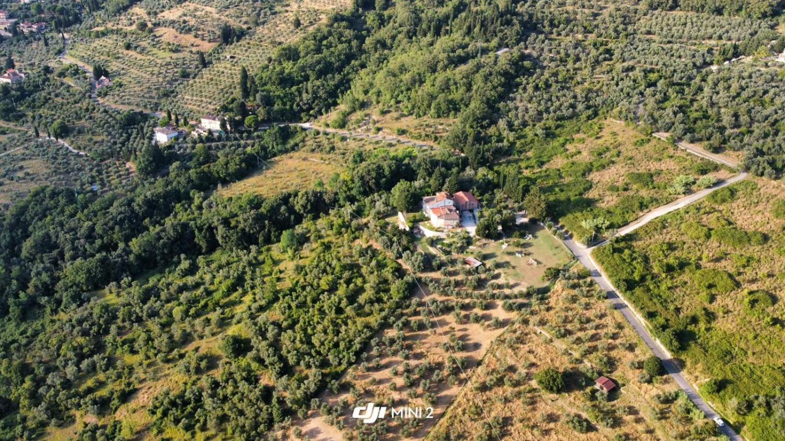 Florence Villa Violetta Bagno a Ripoli Zewnętrze zdjęcie